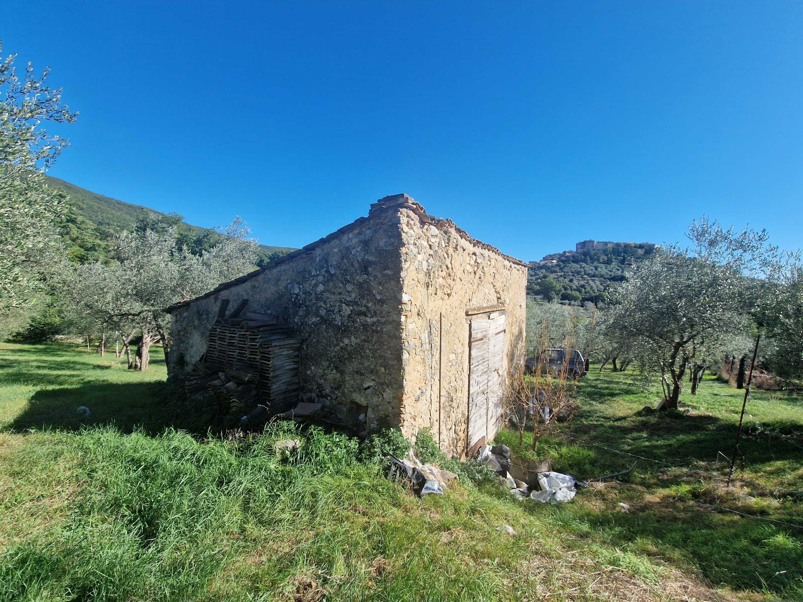  - foto 4