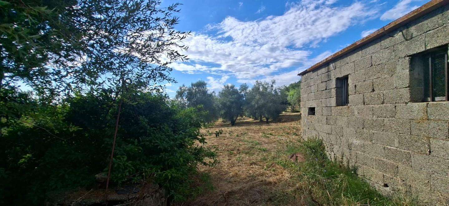  - foto 15