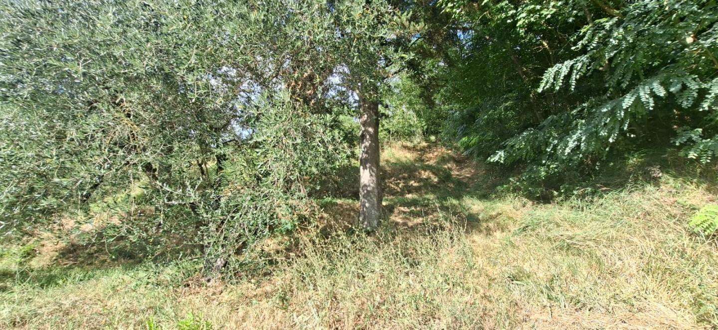  - foto 16