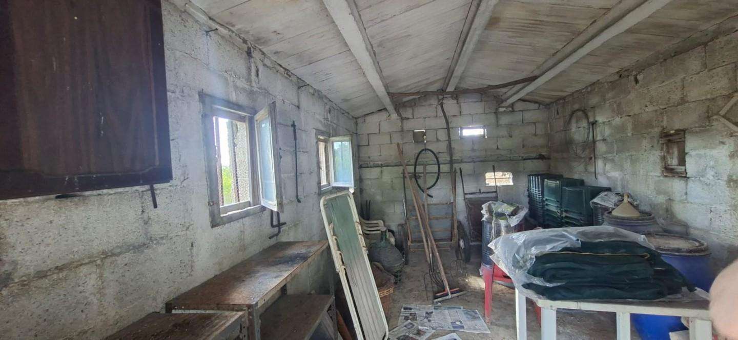  - foto 18