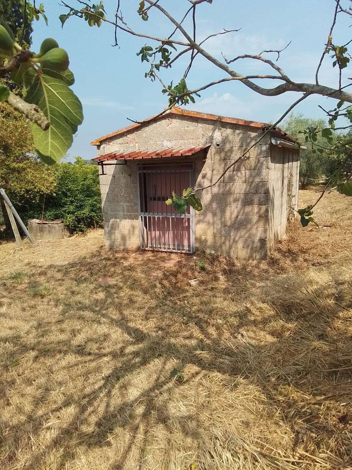  - foto 2
