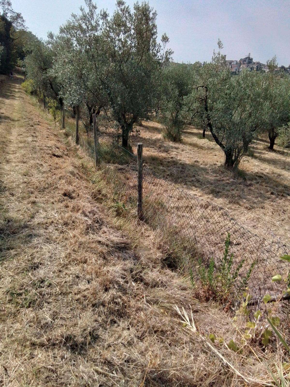  - foto 23