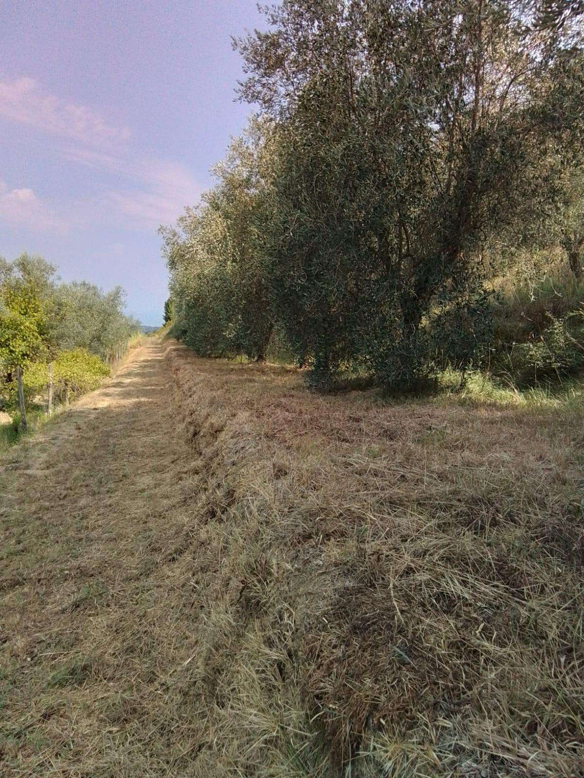  - foto 24