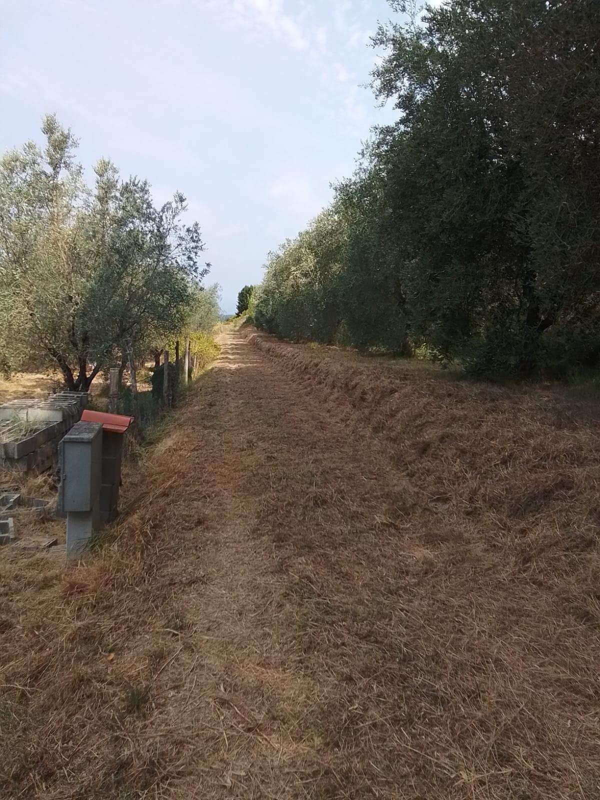  - foto 30