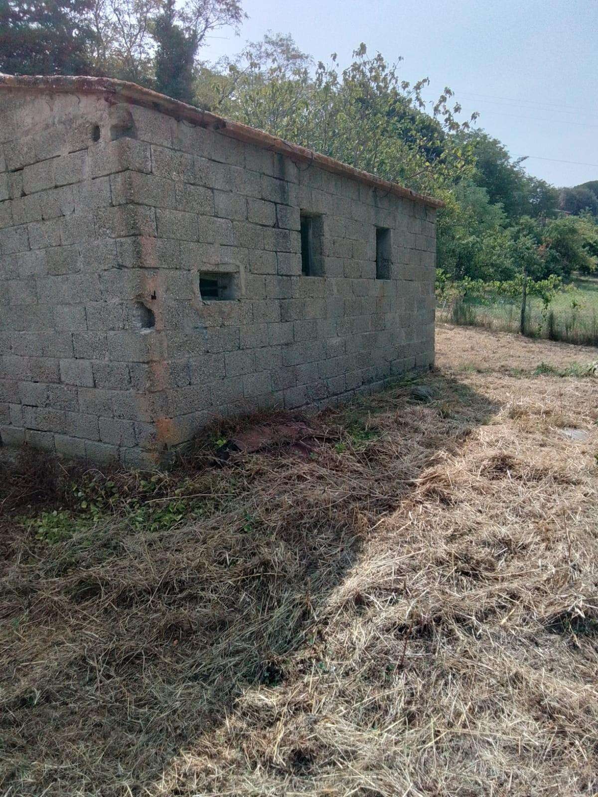  - foto 35