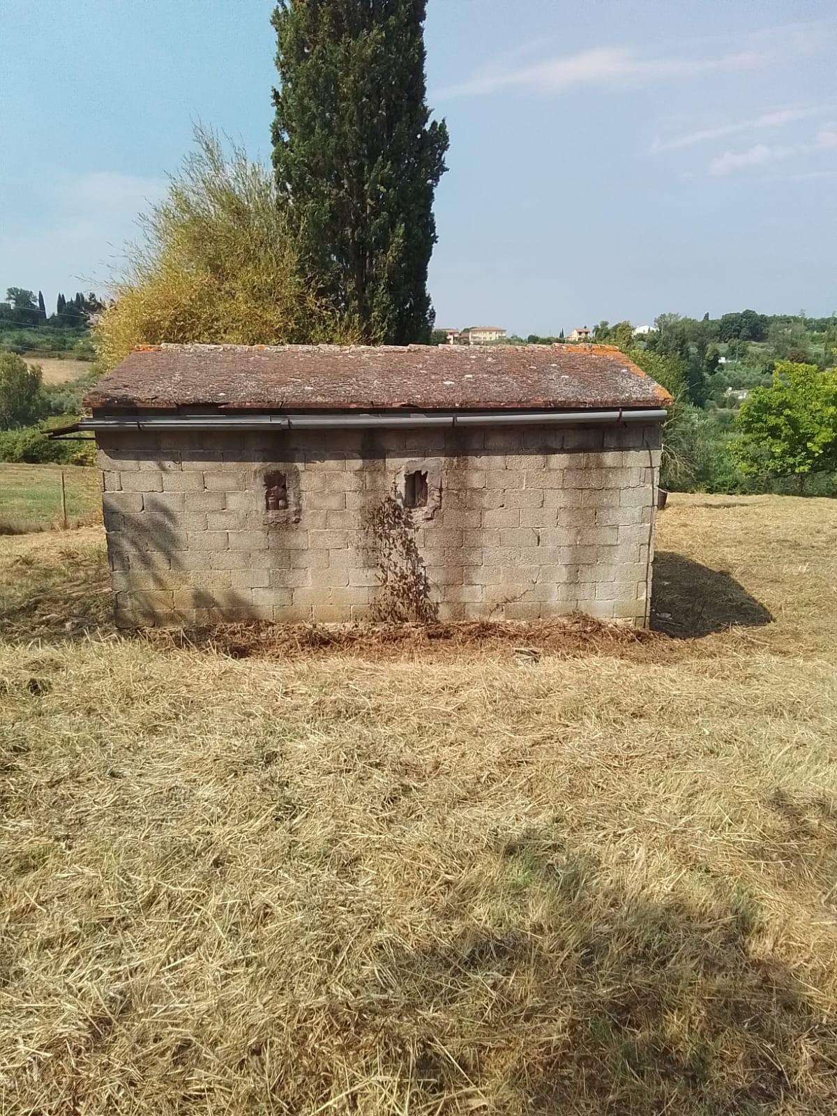  - foto 4