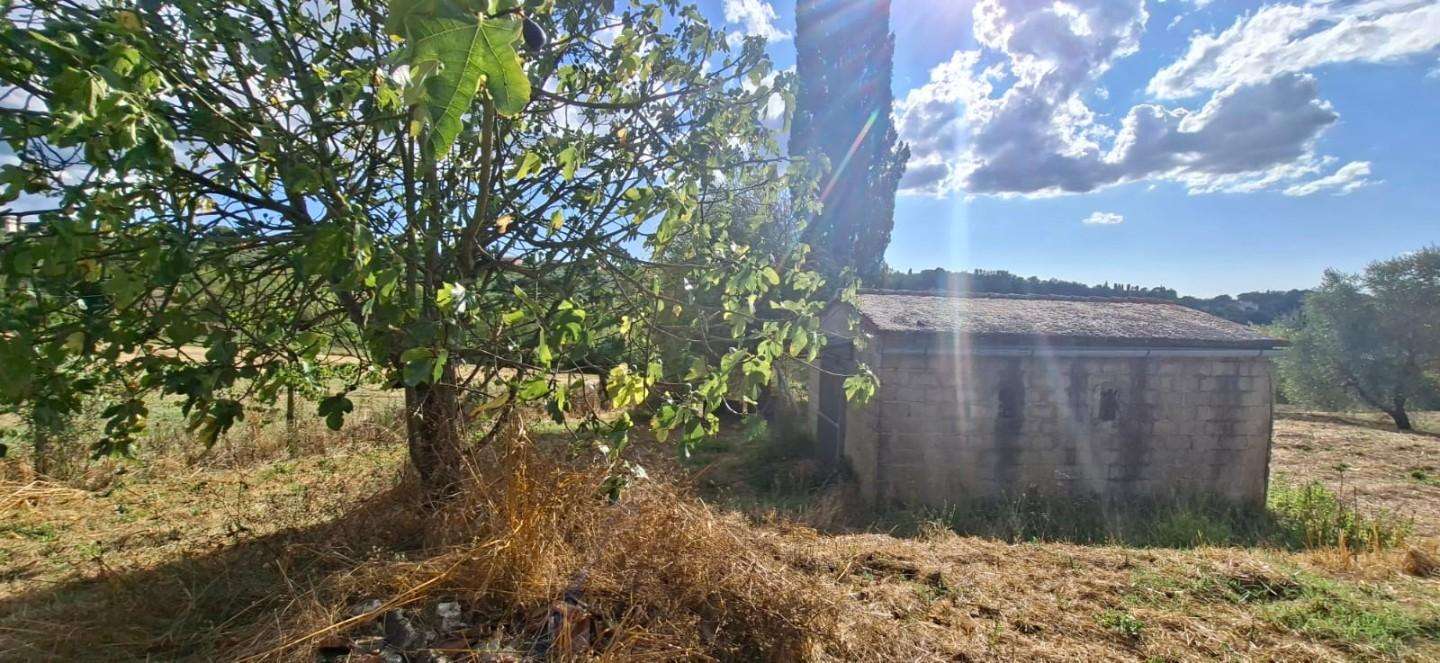  - foto 6