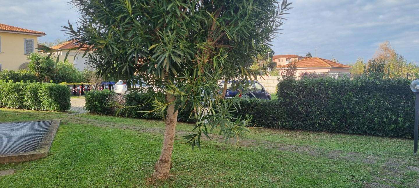  - foto 22