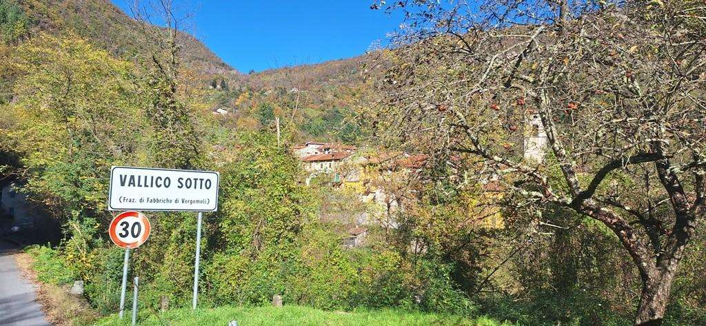  - foto 41