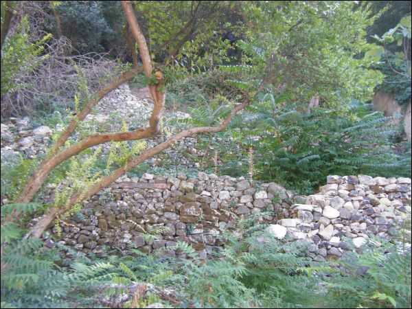  - foto 10