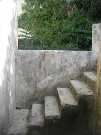  - foto 3
