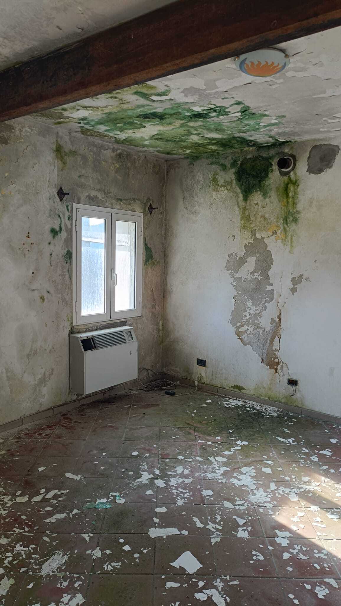  - foto 26
