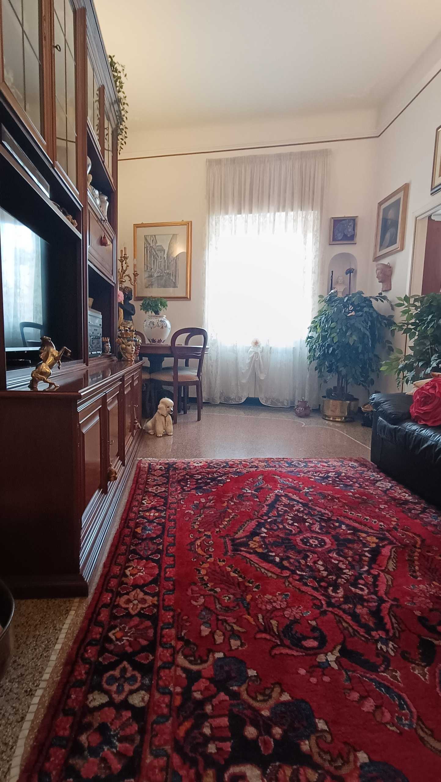  - foto 12