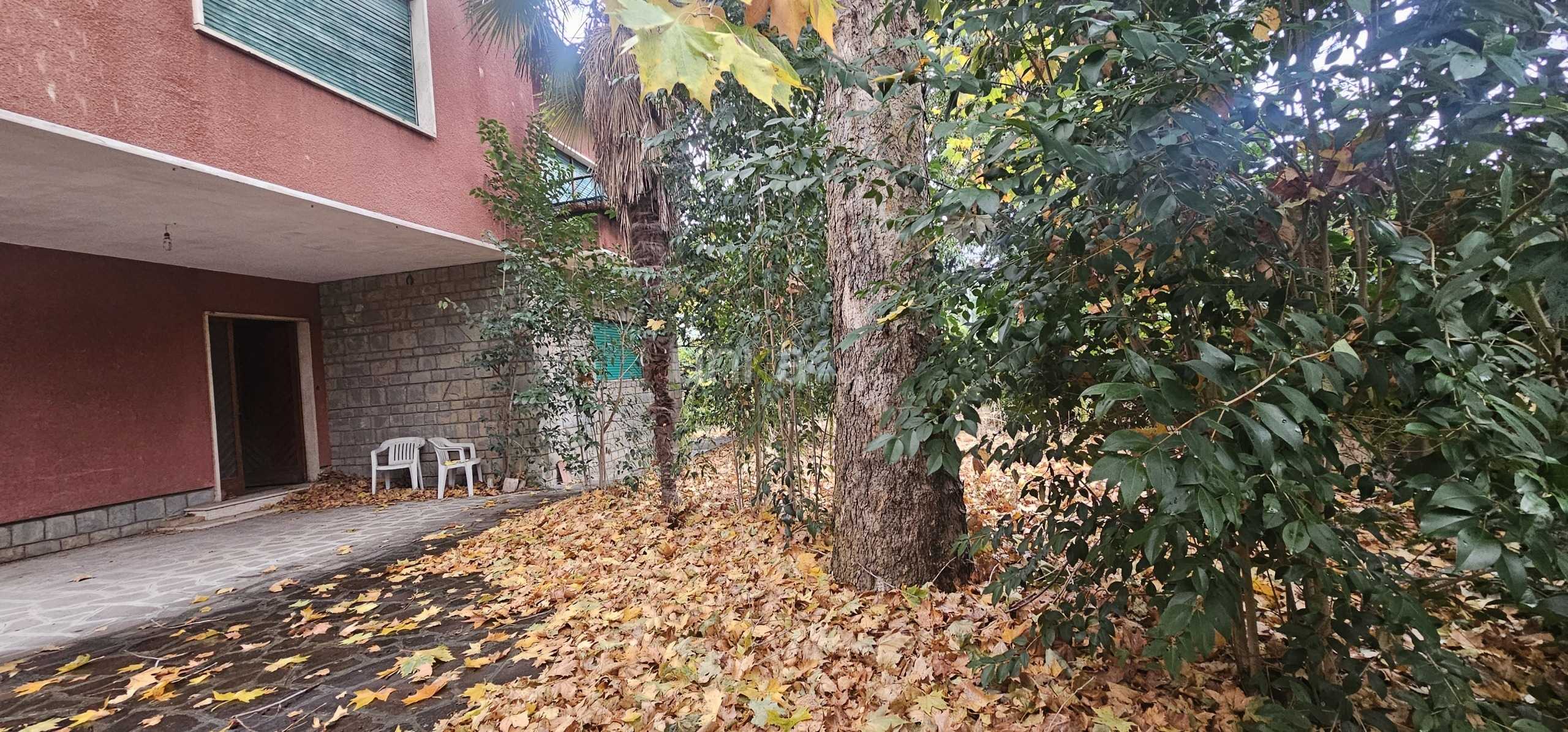  - foto 10