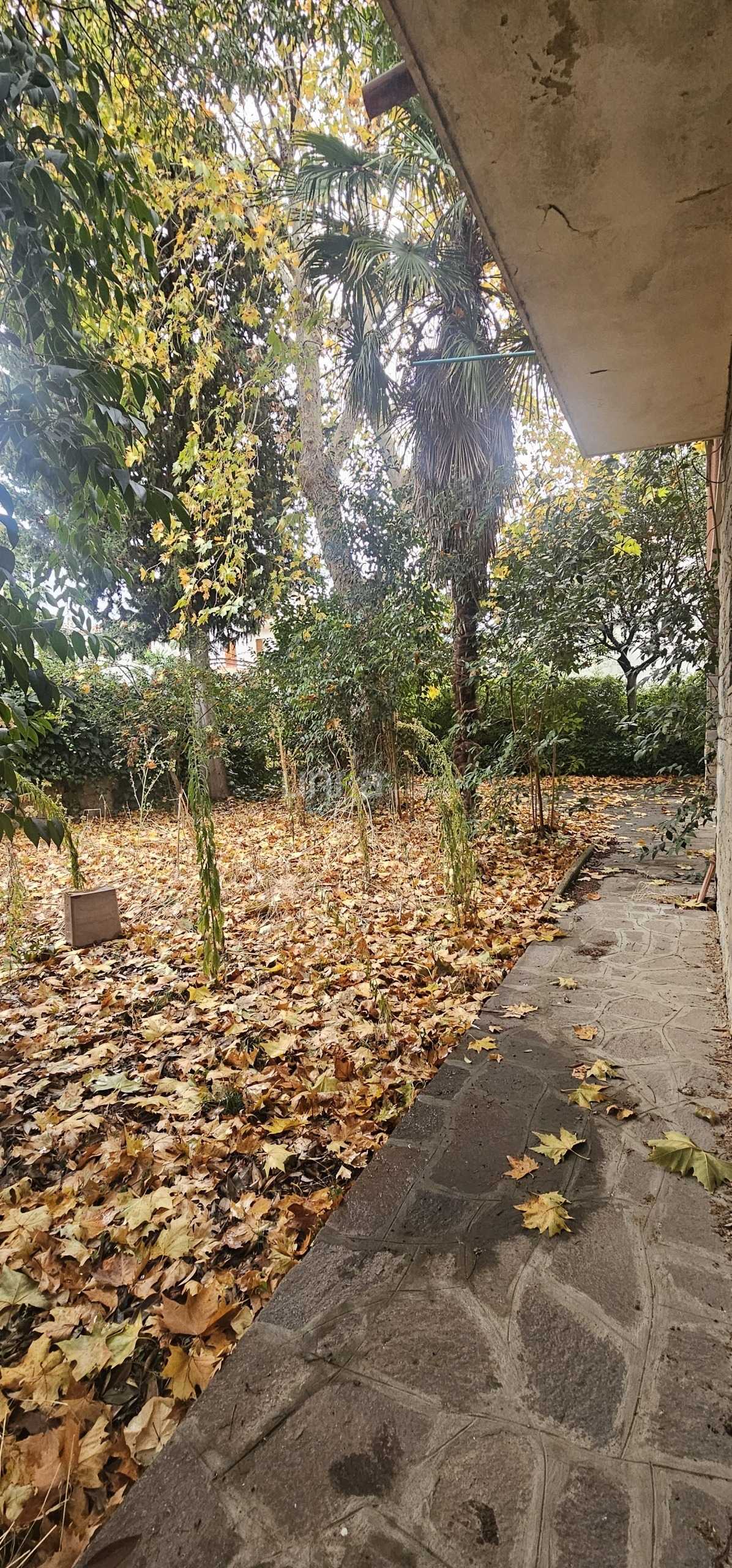  - foto 13