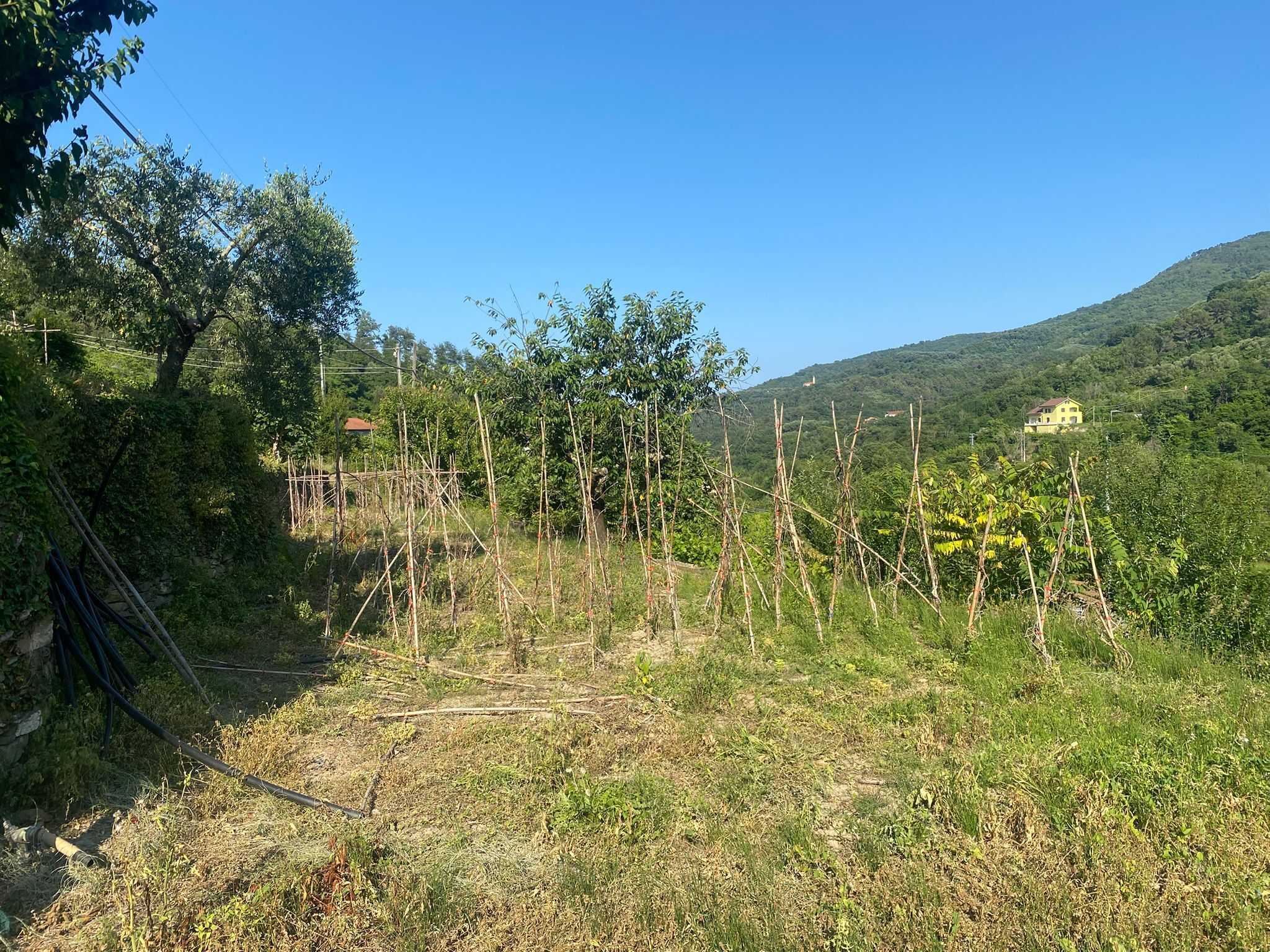  - foto 13