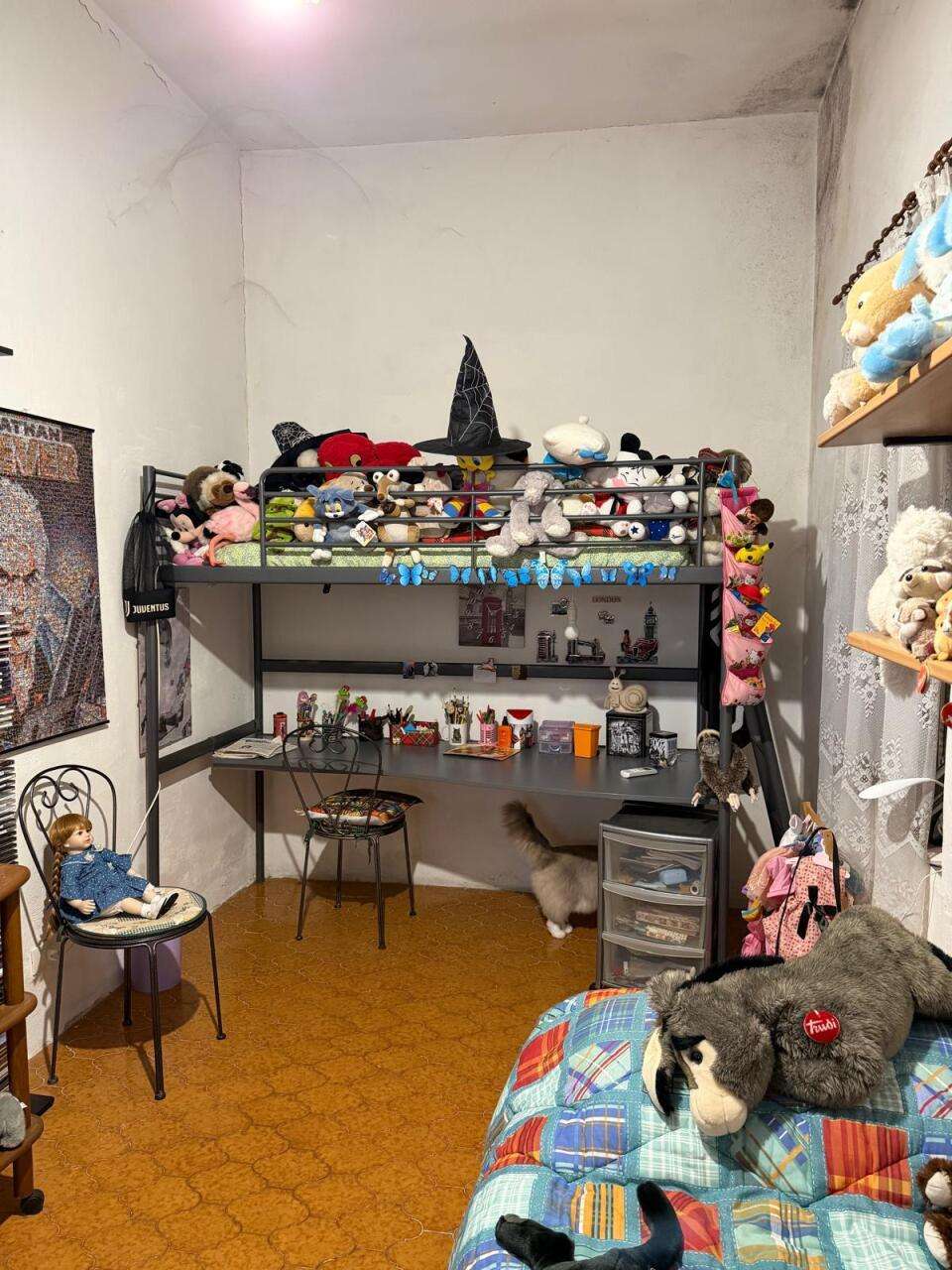  - foto 5