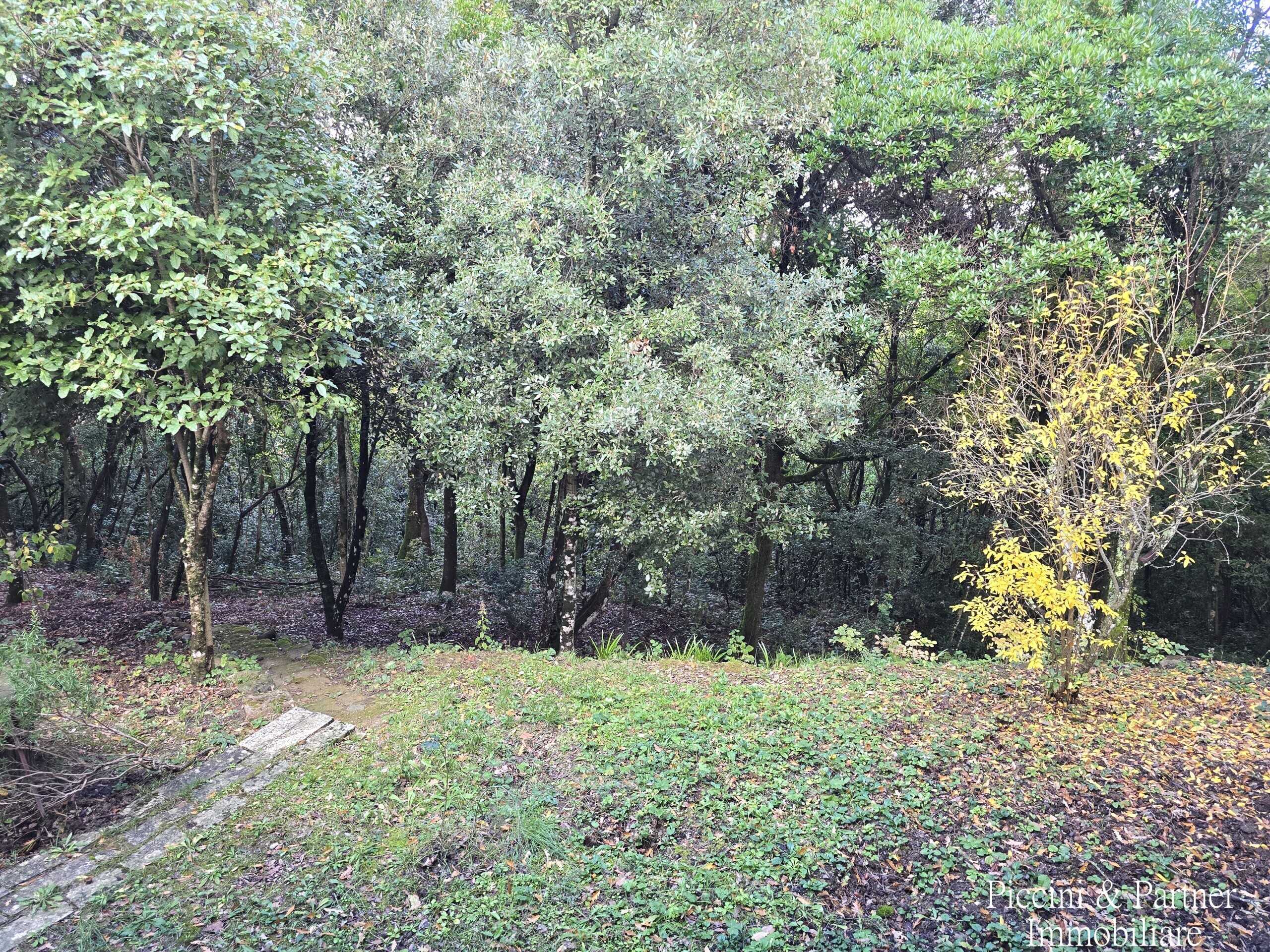  - foto 48