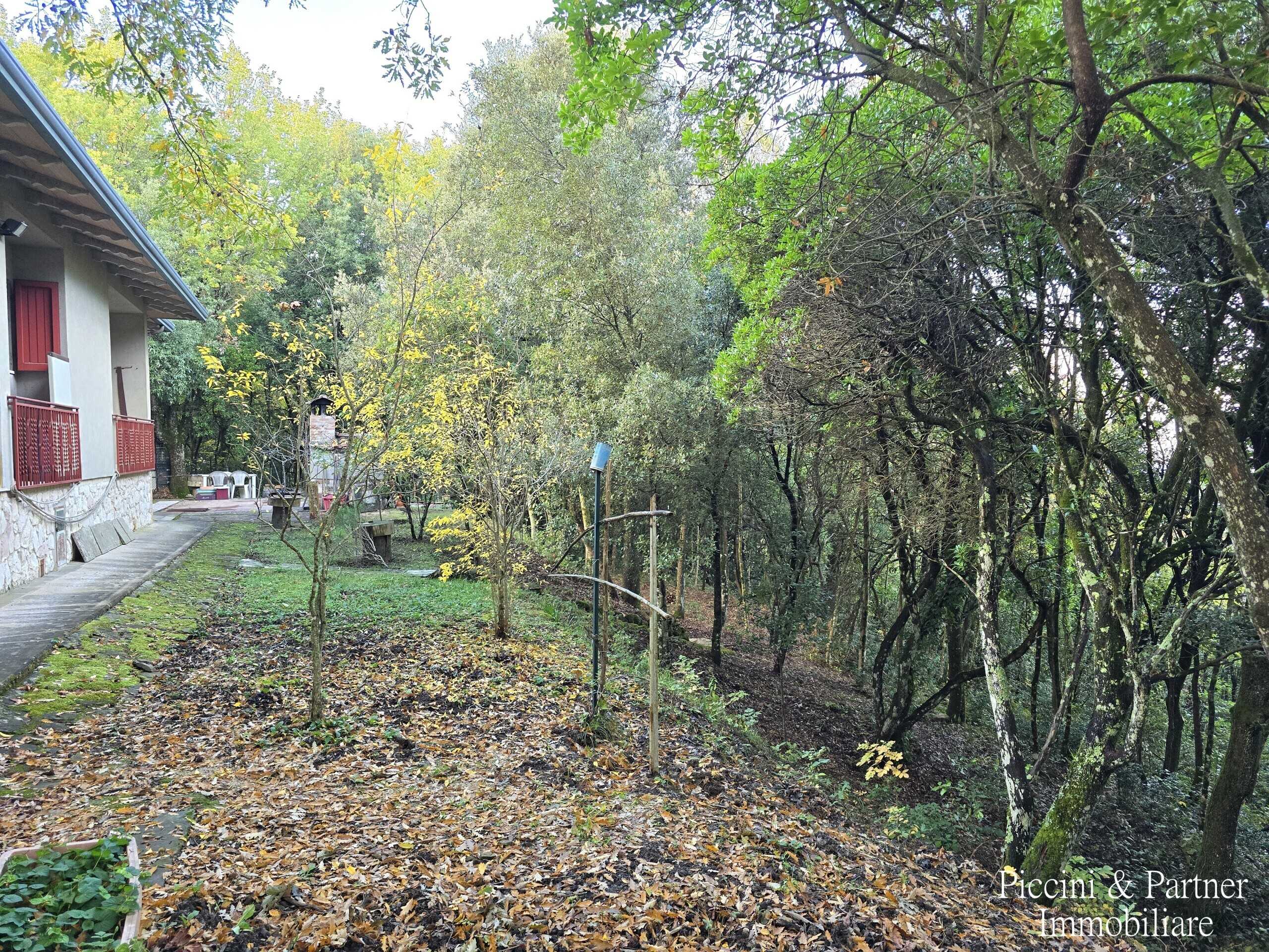  - foto 64