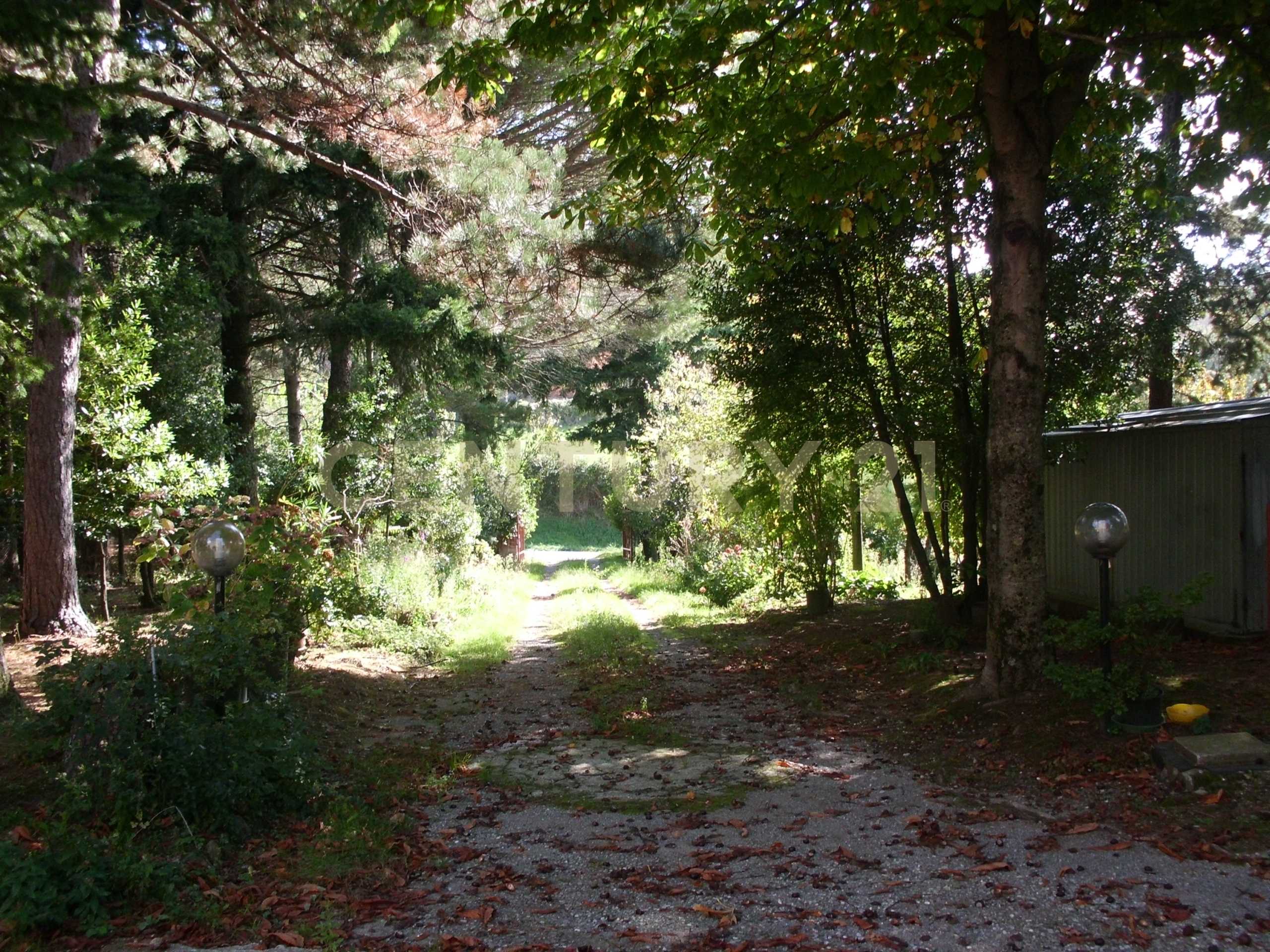  - foto 20