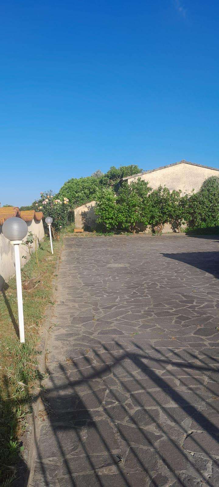  - foto 21