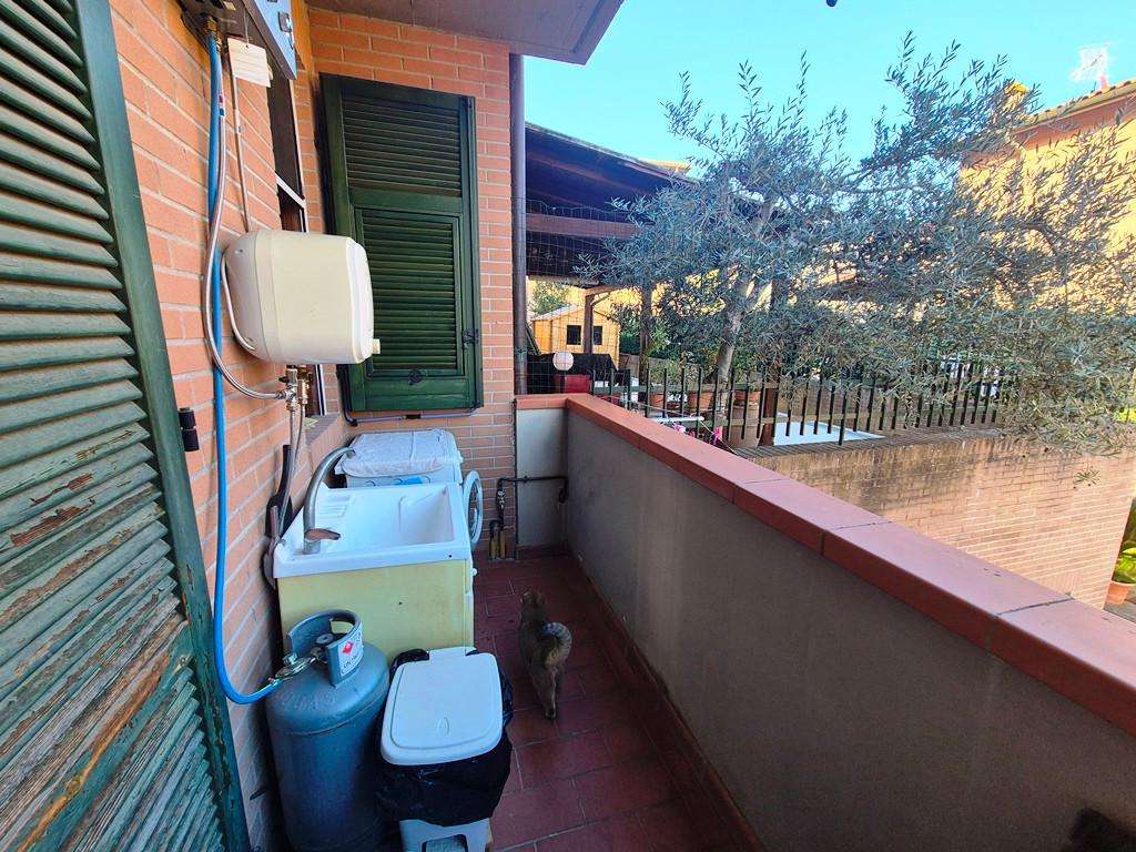  - foto 15