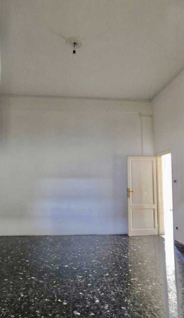  - foto 16