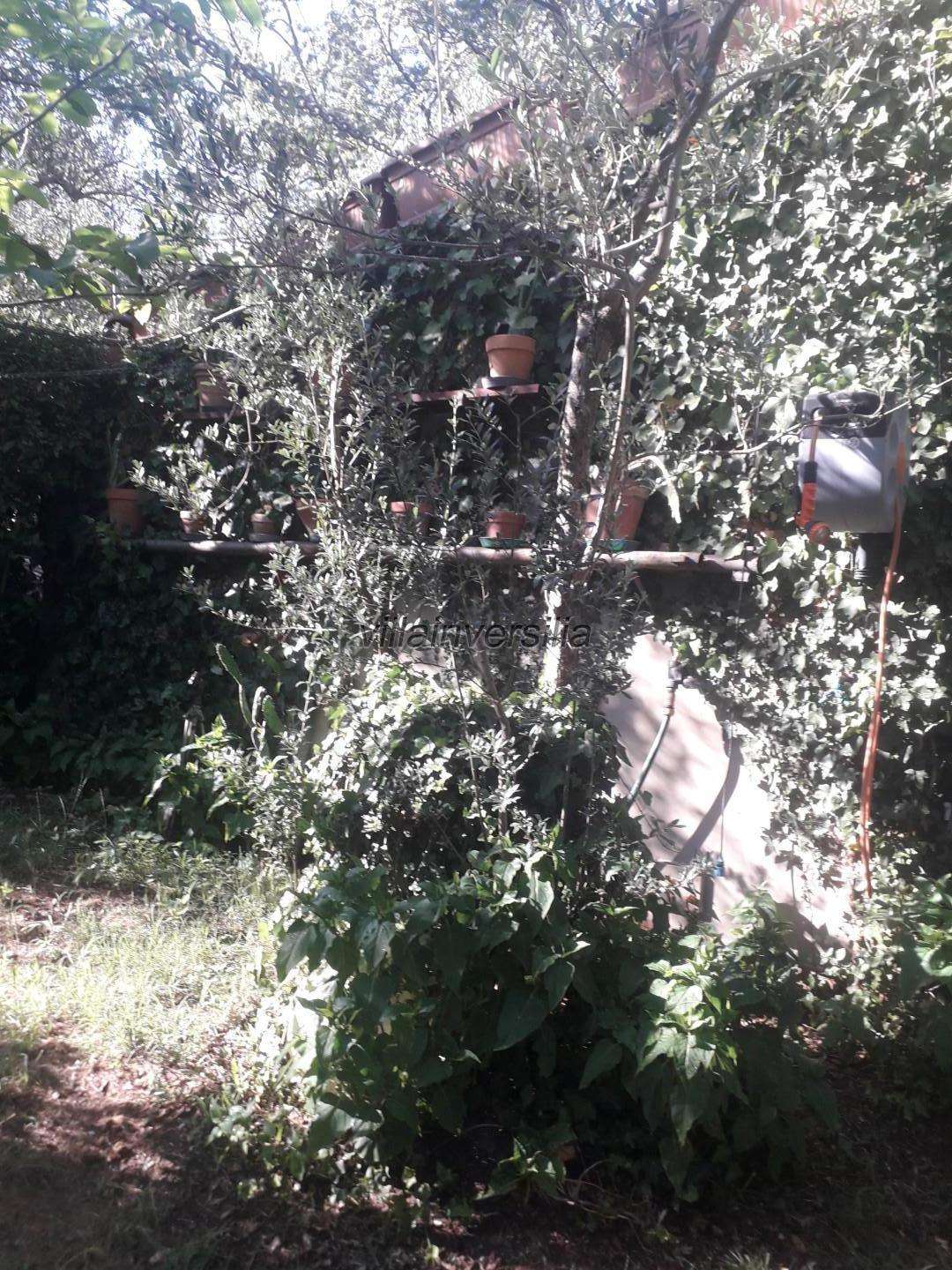 - foto 22