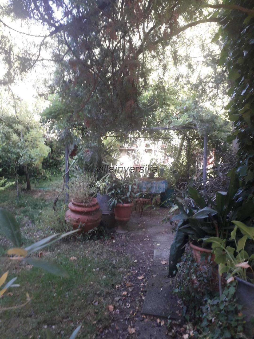  - foto 23