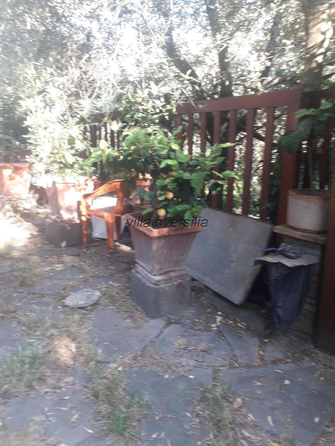  - foto 30