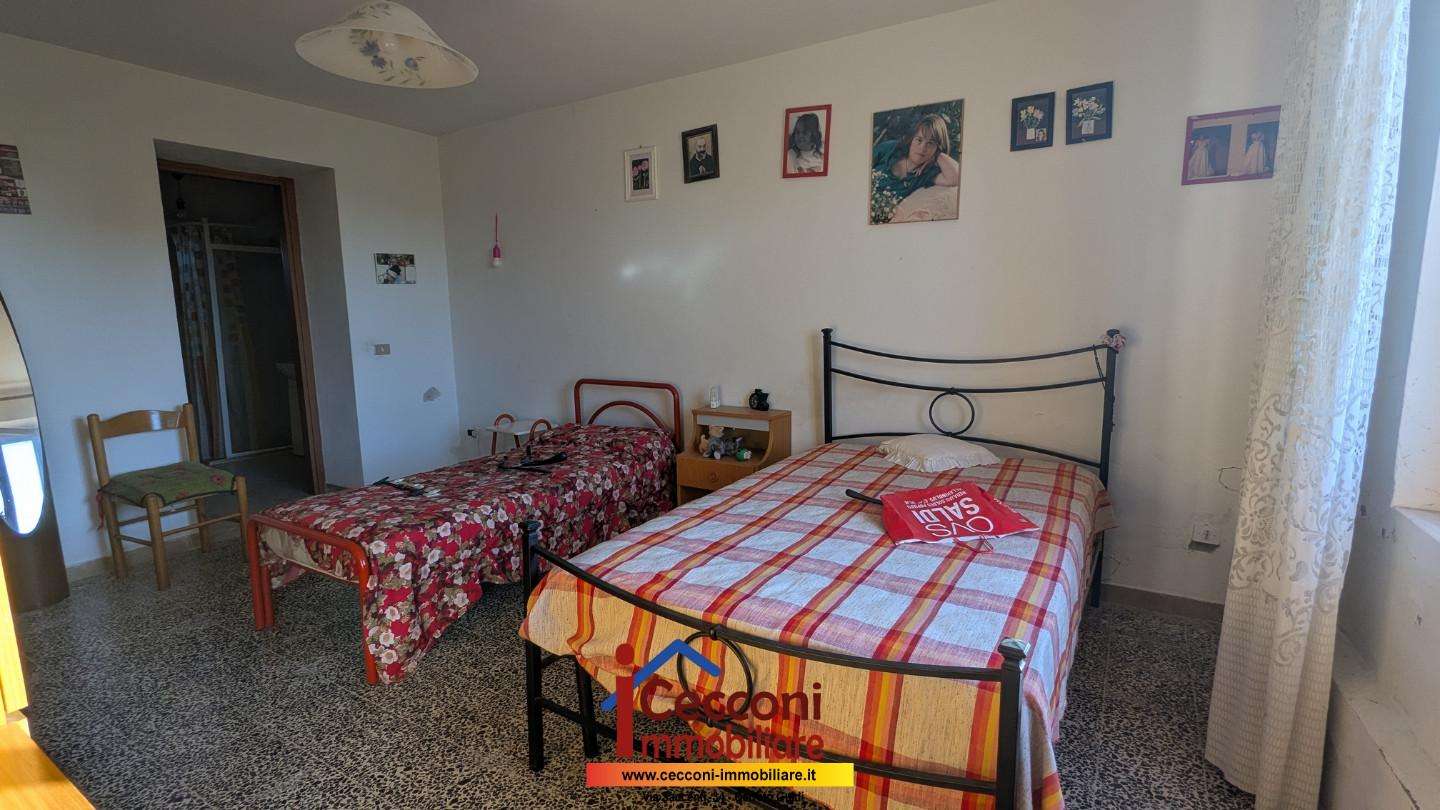  - foto 6