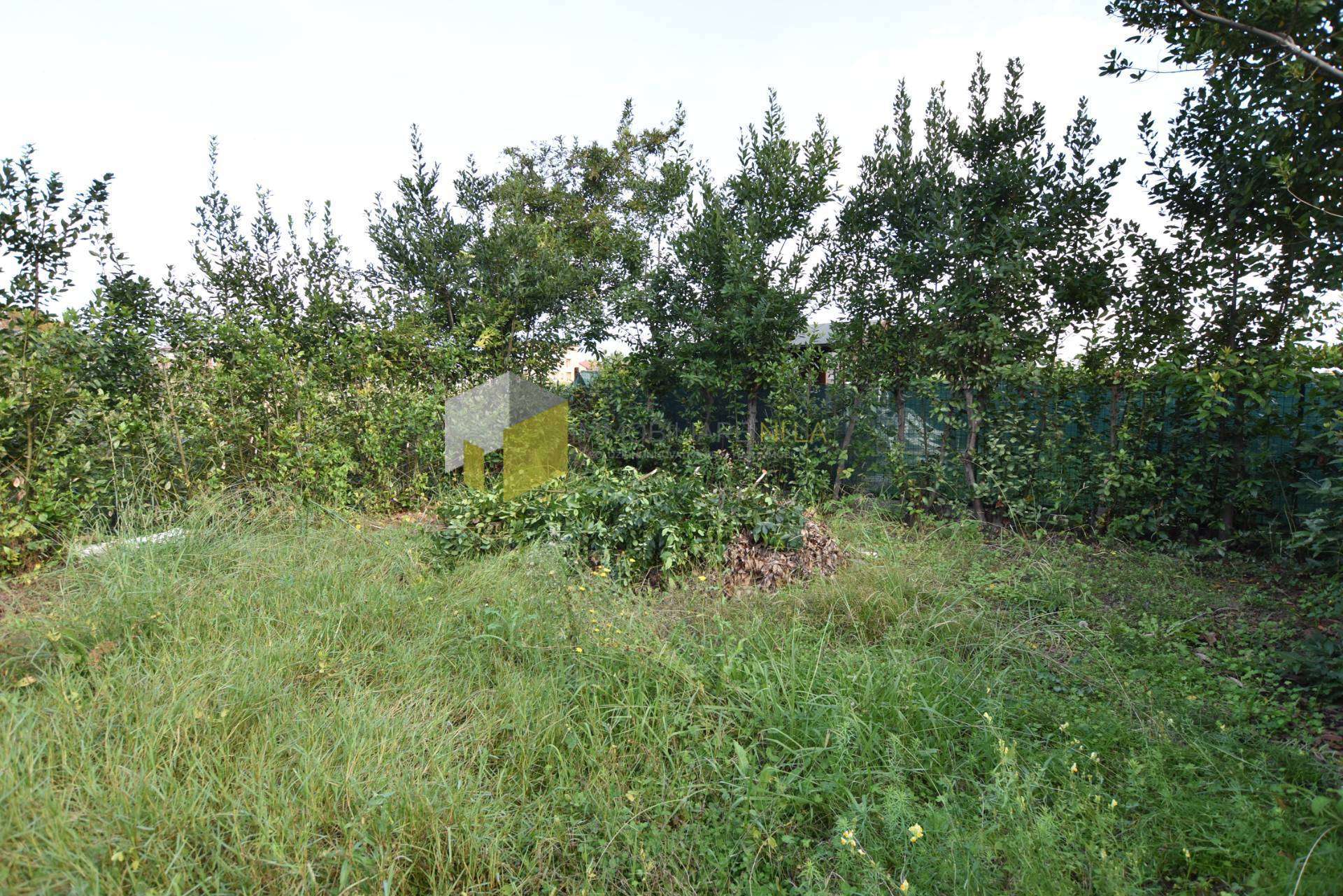  - foto 21