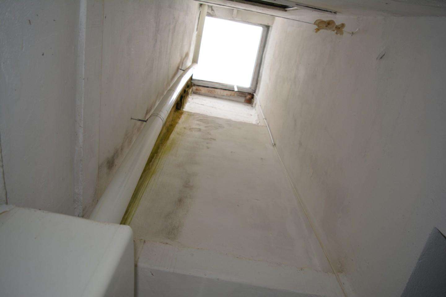  - foto 11