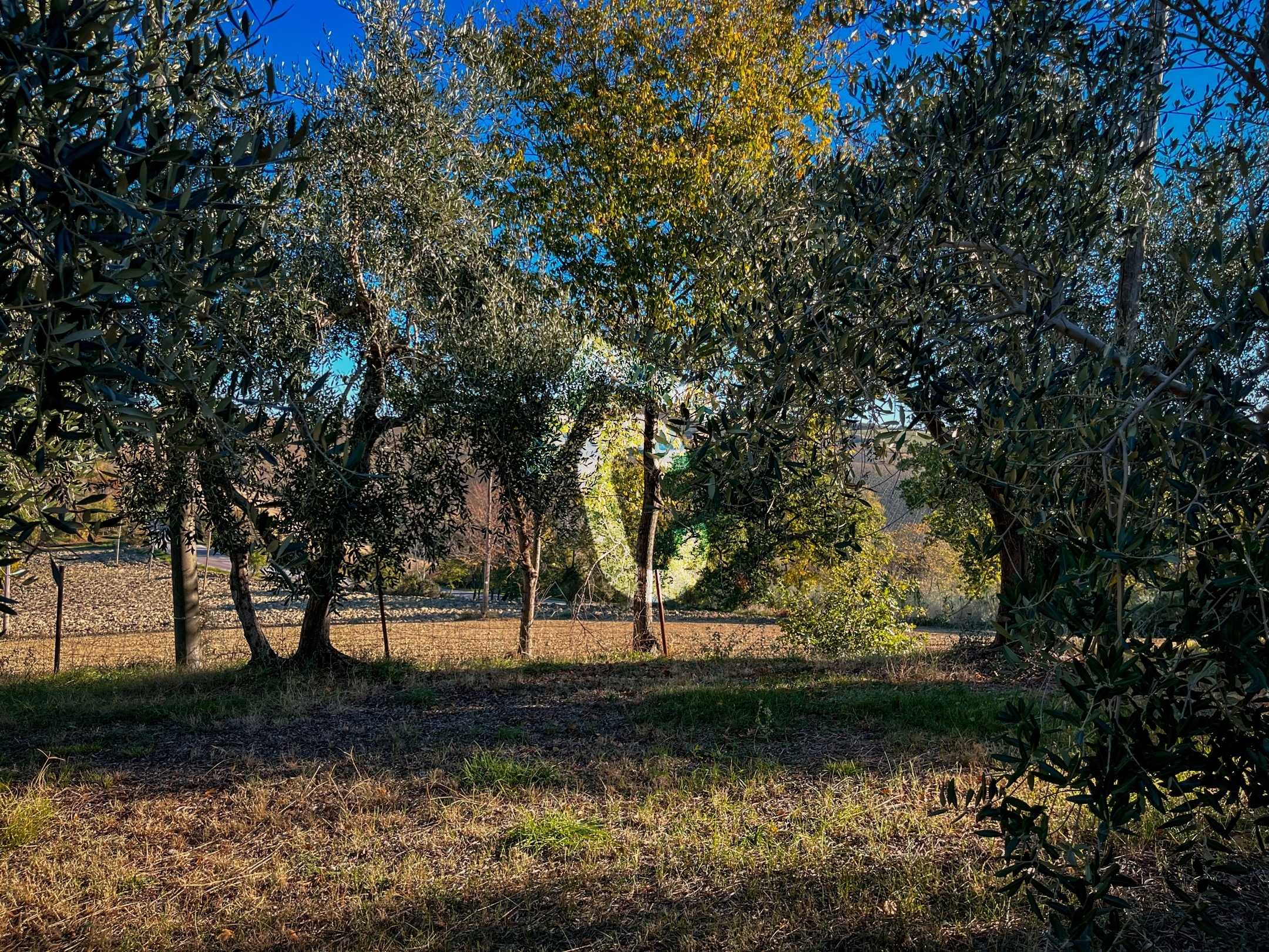  - foto 10