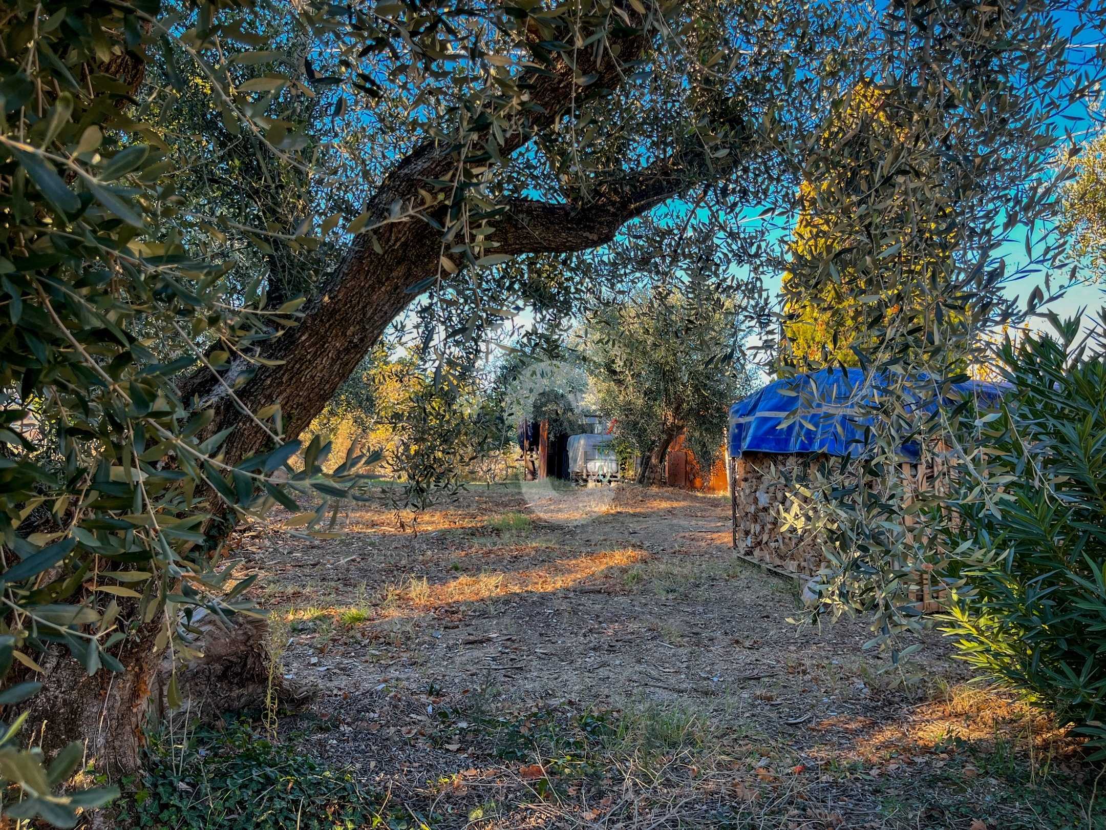  - foto 8