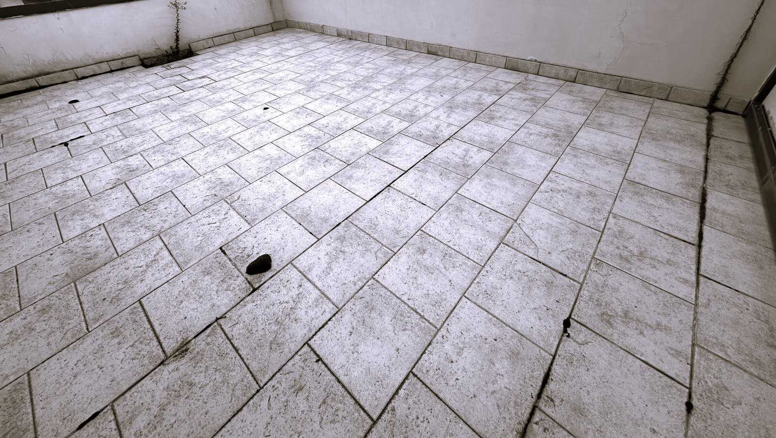 - foto 25