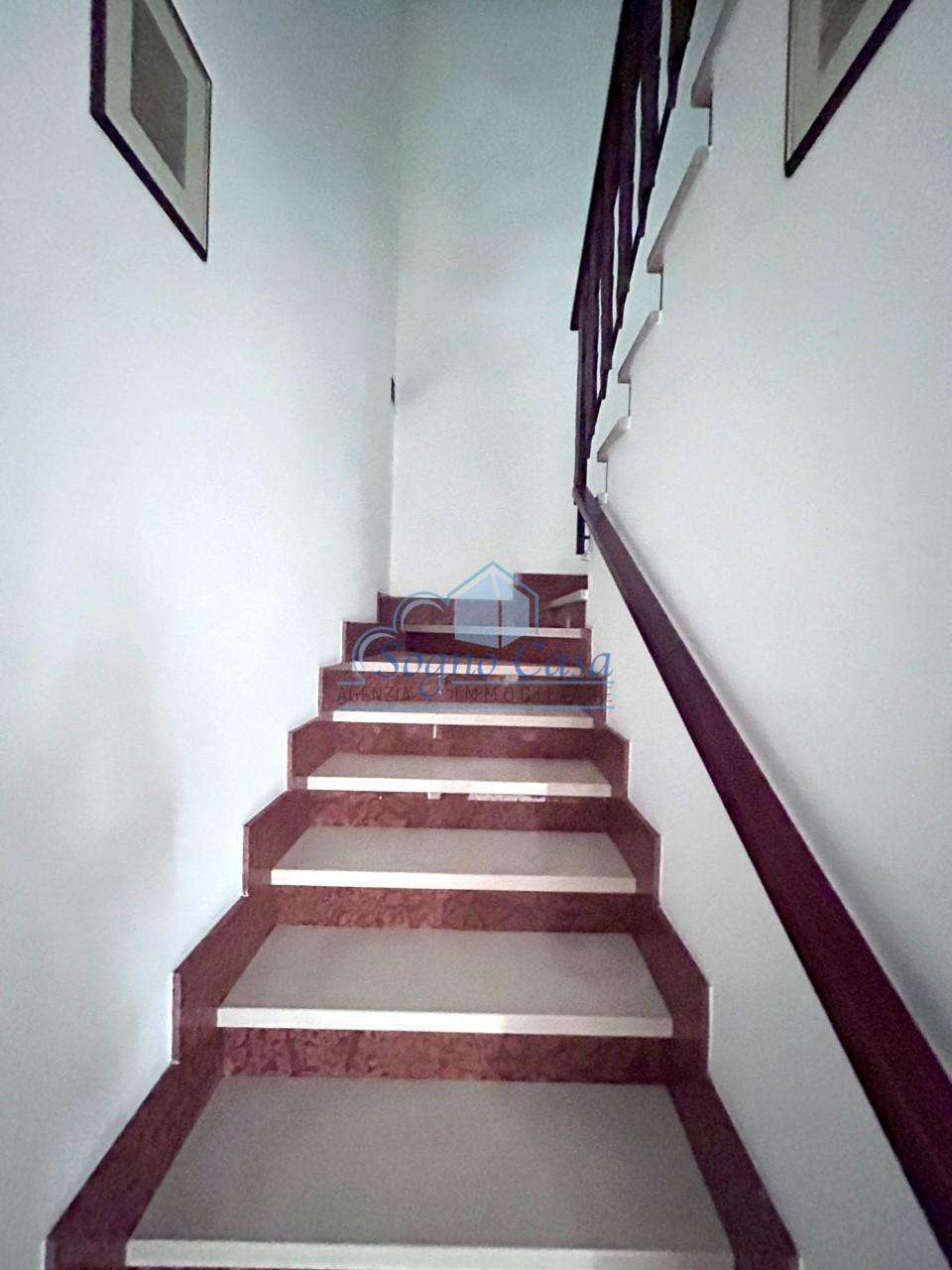  - foto 11