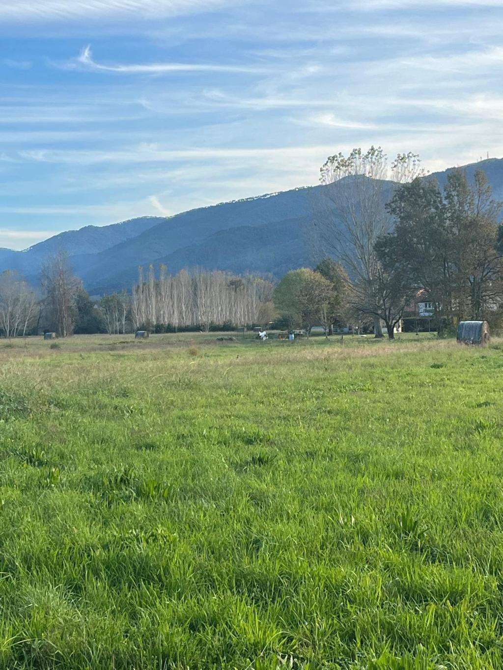  - foto 2