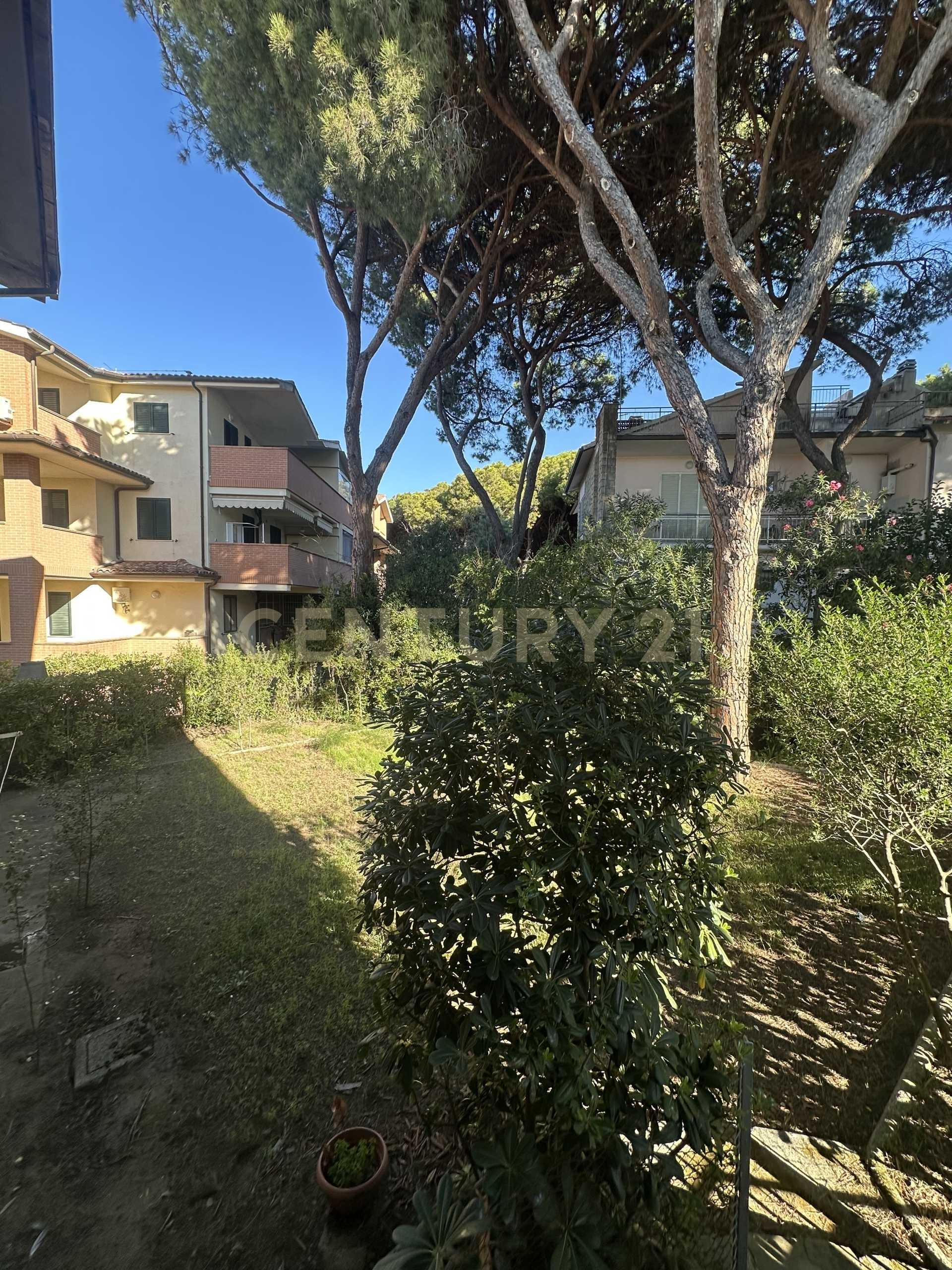  - foto 14