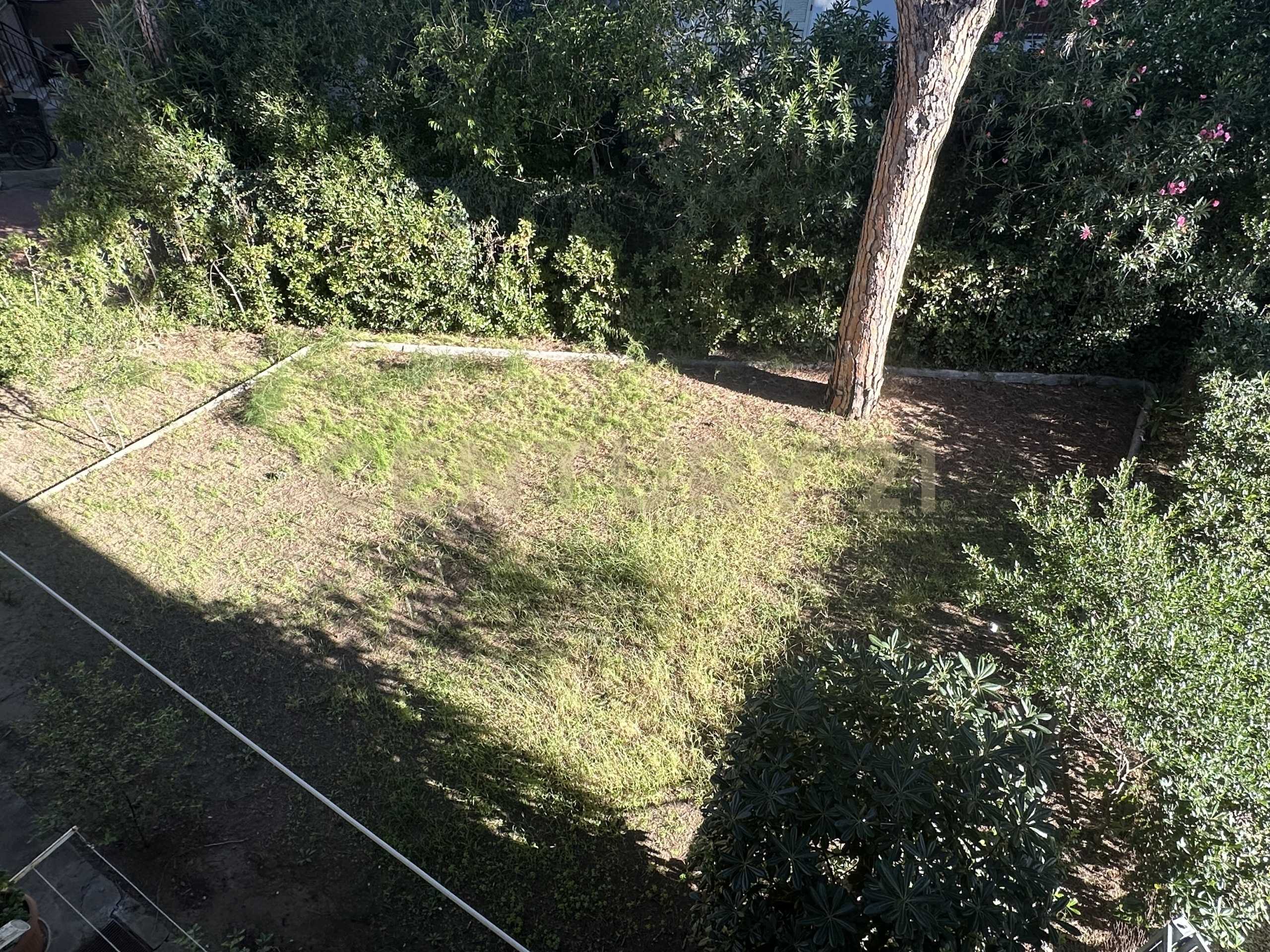  - foto 20