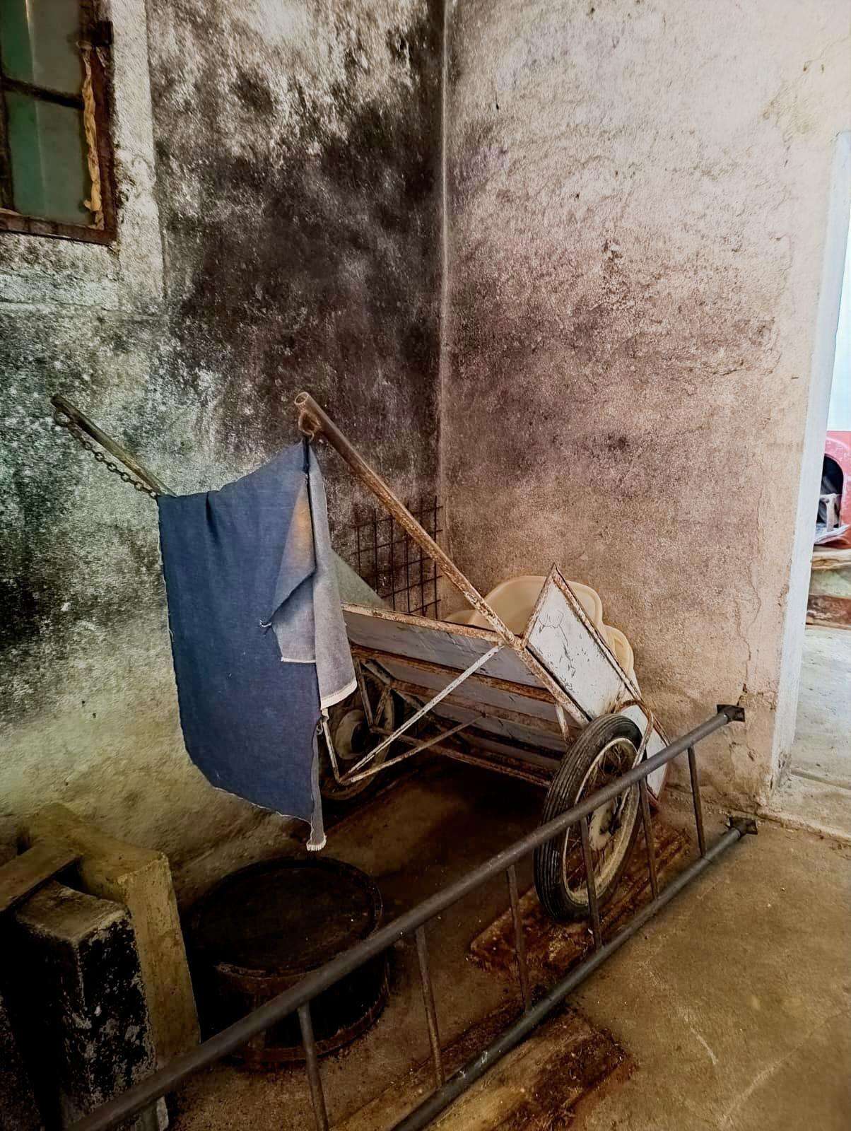  - foto 48