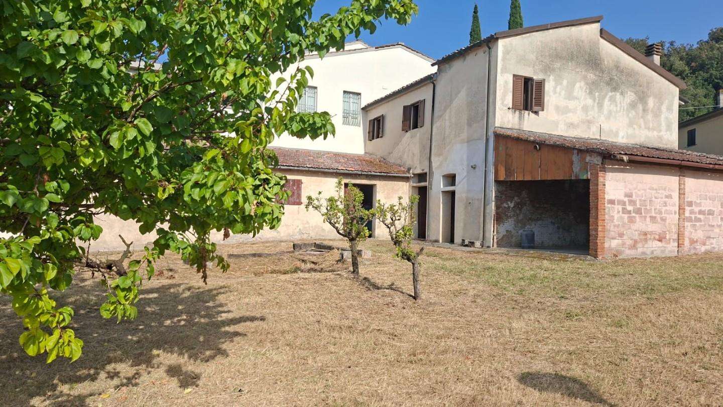 - foto 54