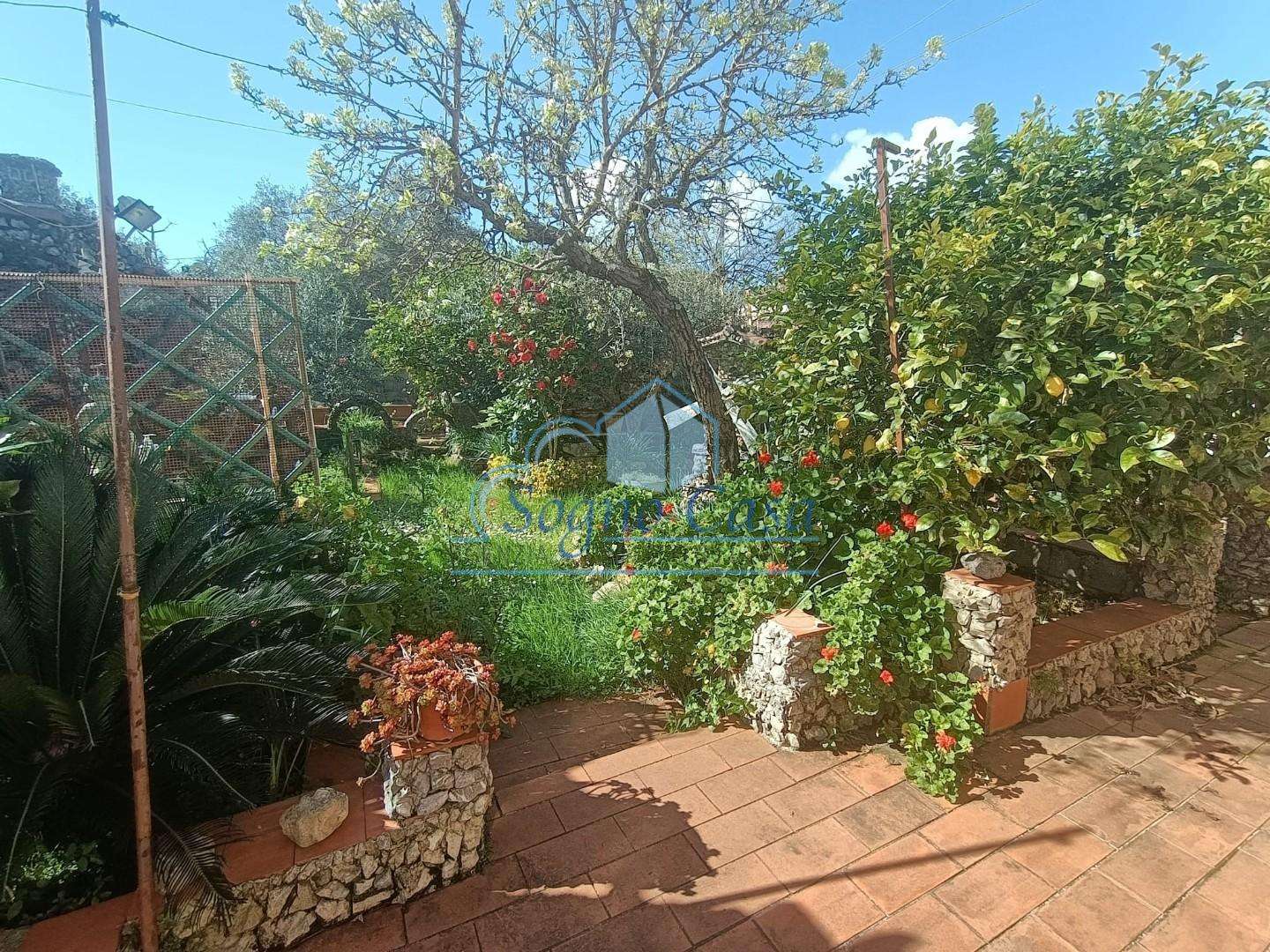  - foto 8
