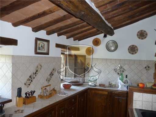  - foto 10
