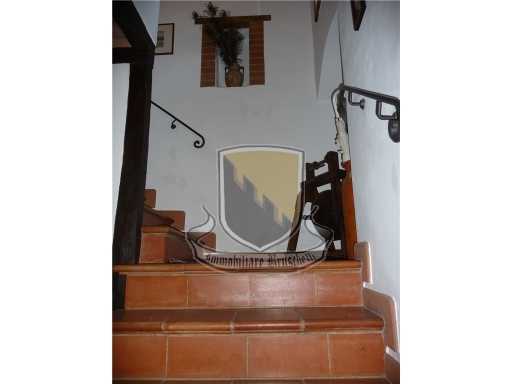  - foto 15
