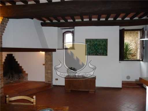 - foto 32