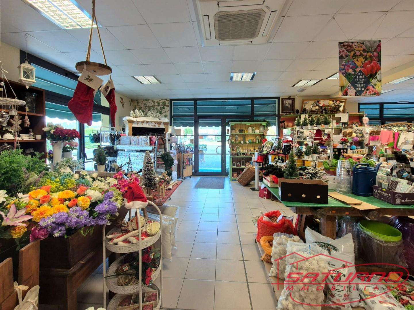  - foto 13
