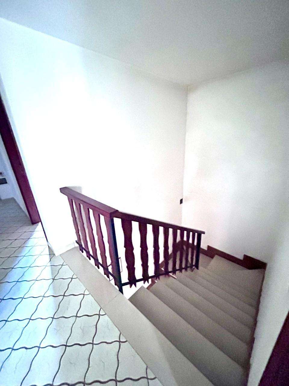  - foto 18