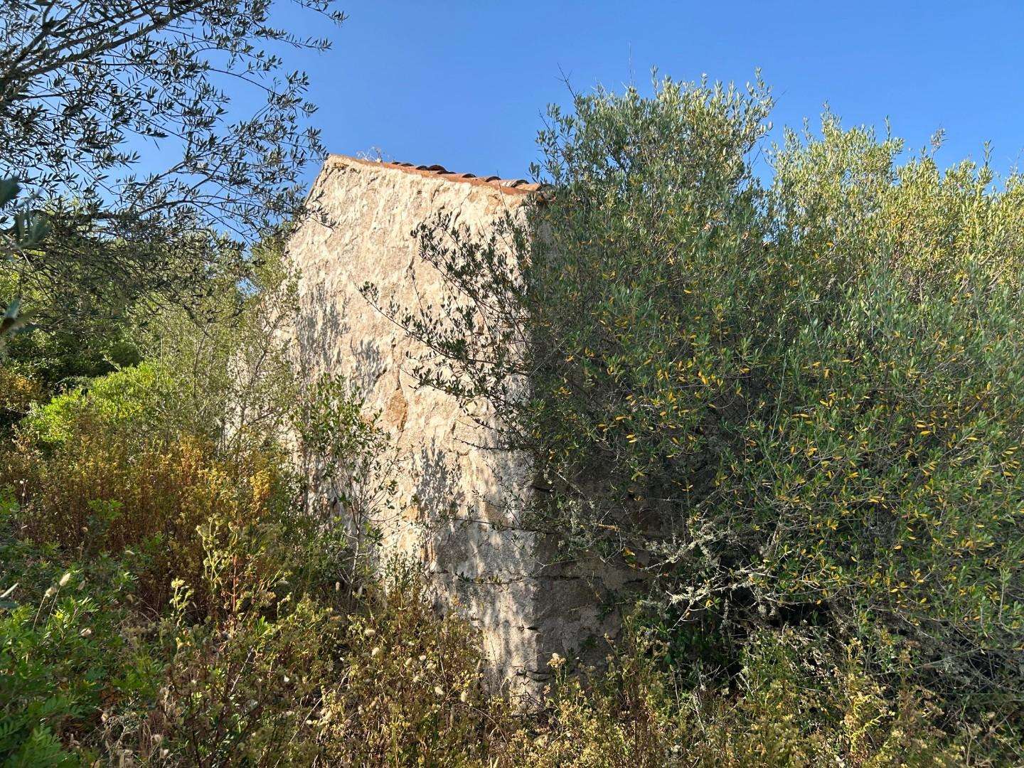  - foto 10