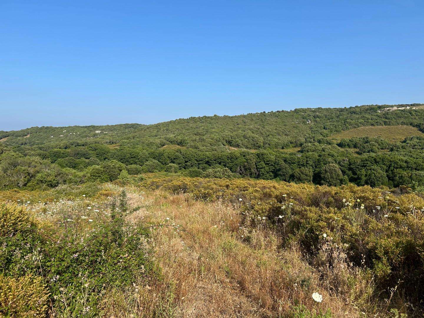  - foto 20